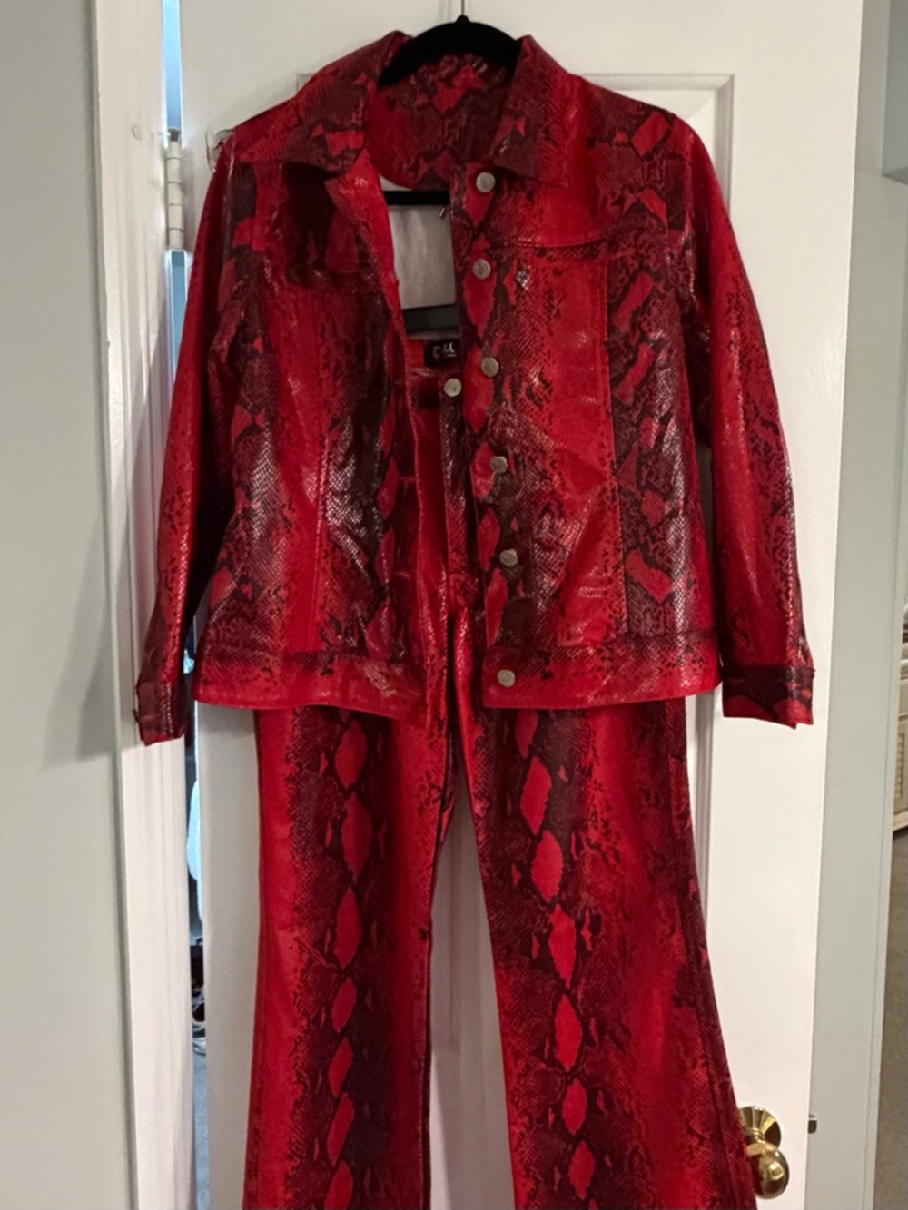 D&G Dolce & Gabbana 2-Piece Set Jeans + Jacket | Snake Print | Unverified Auth - Picture 2 of 14